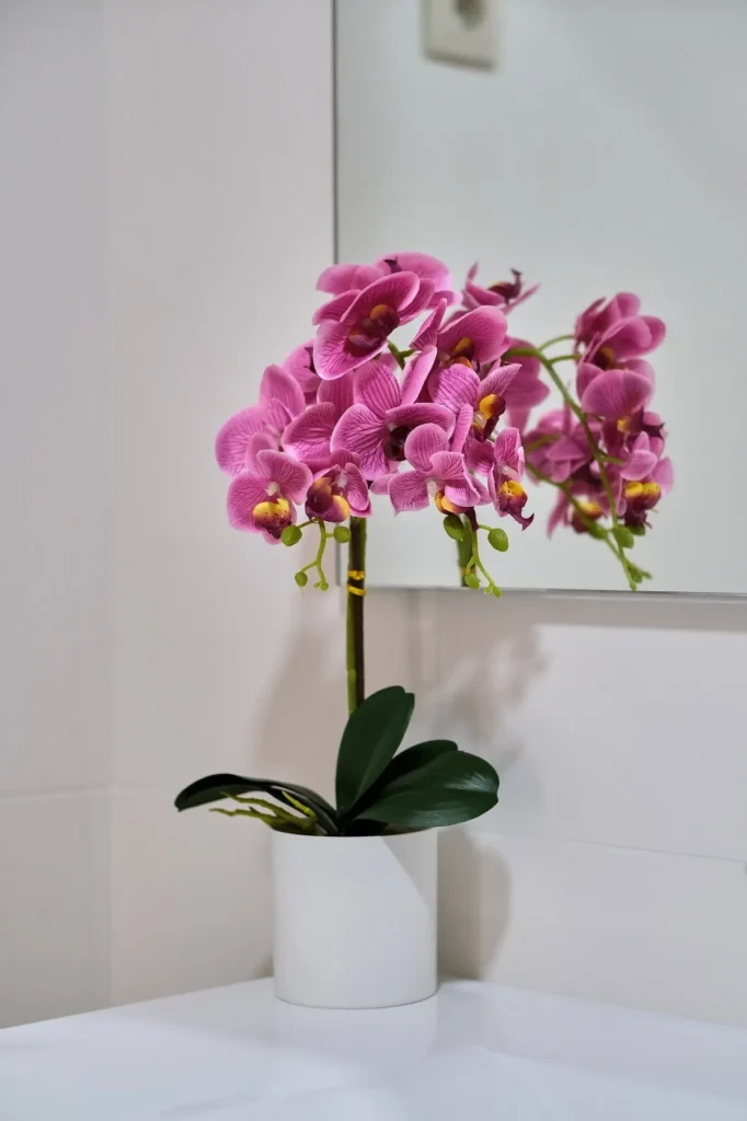 alojamento-local-santo-tirso-casa