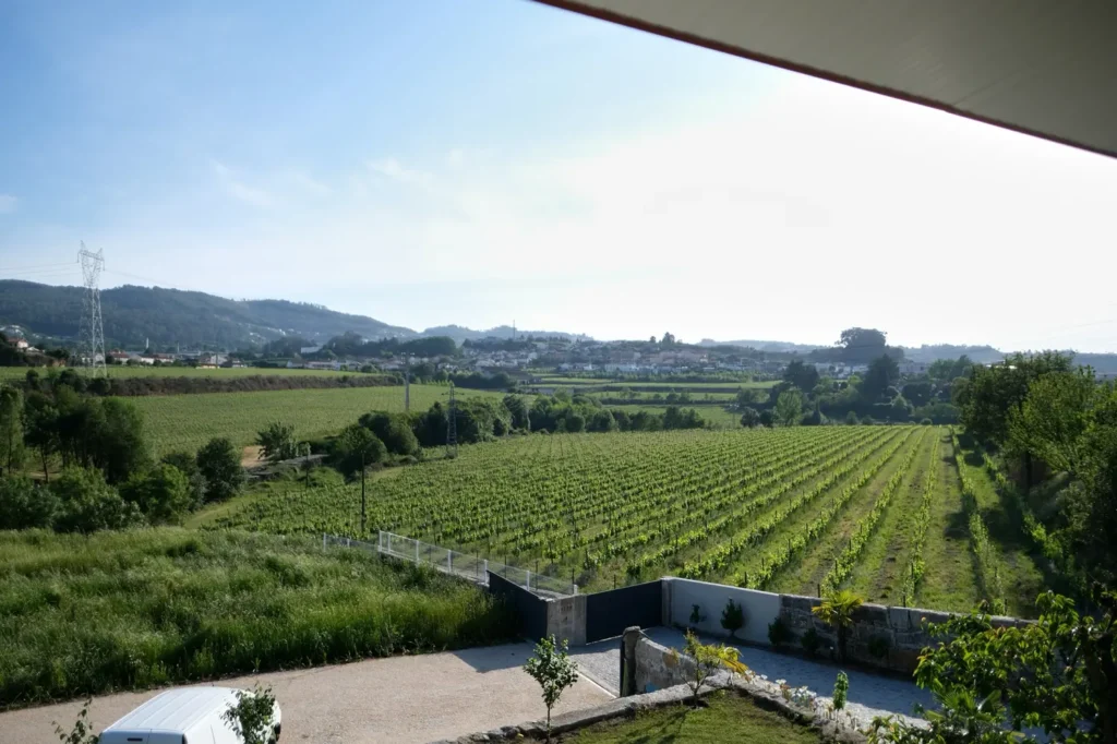 alojamento-local-santo-tirso-casa das visitas-cozinha-vista-natureza-perto-de-guimaraes