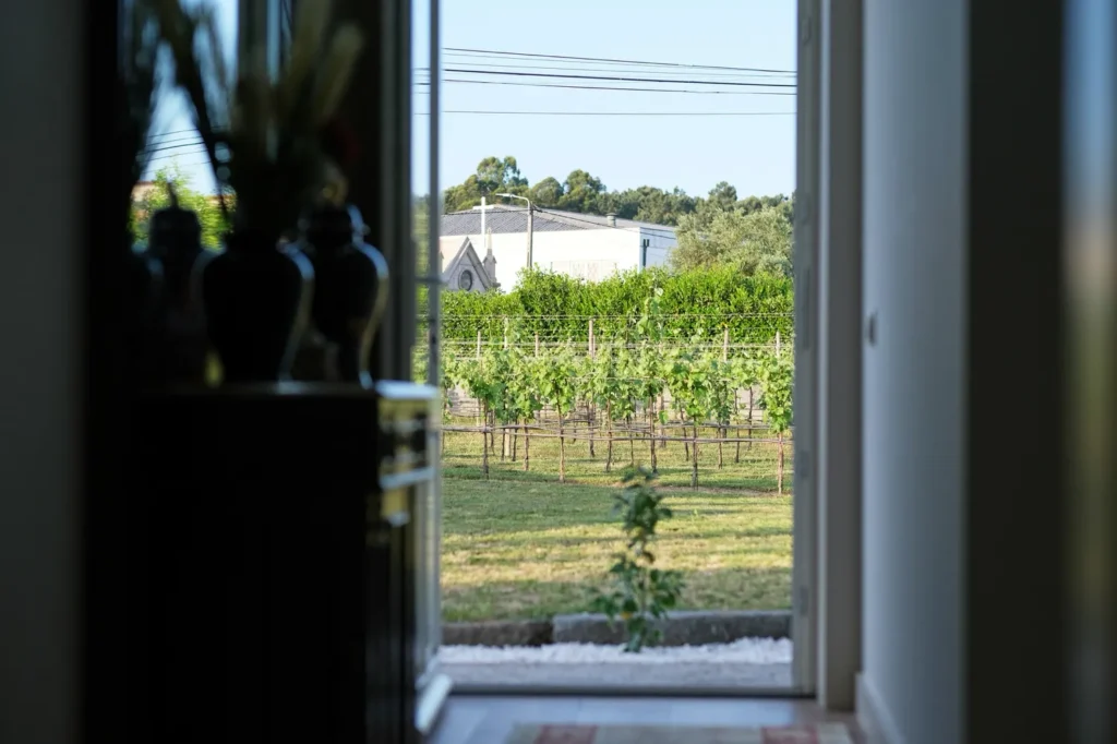 turismo-rural-santo-tirso-casa-do-feitor-vista-vinha